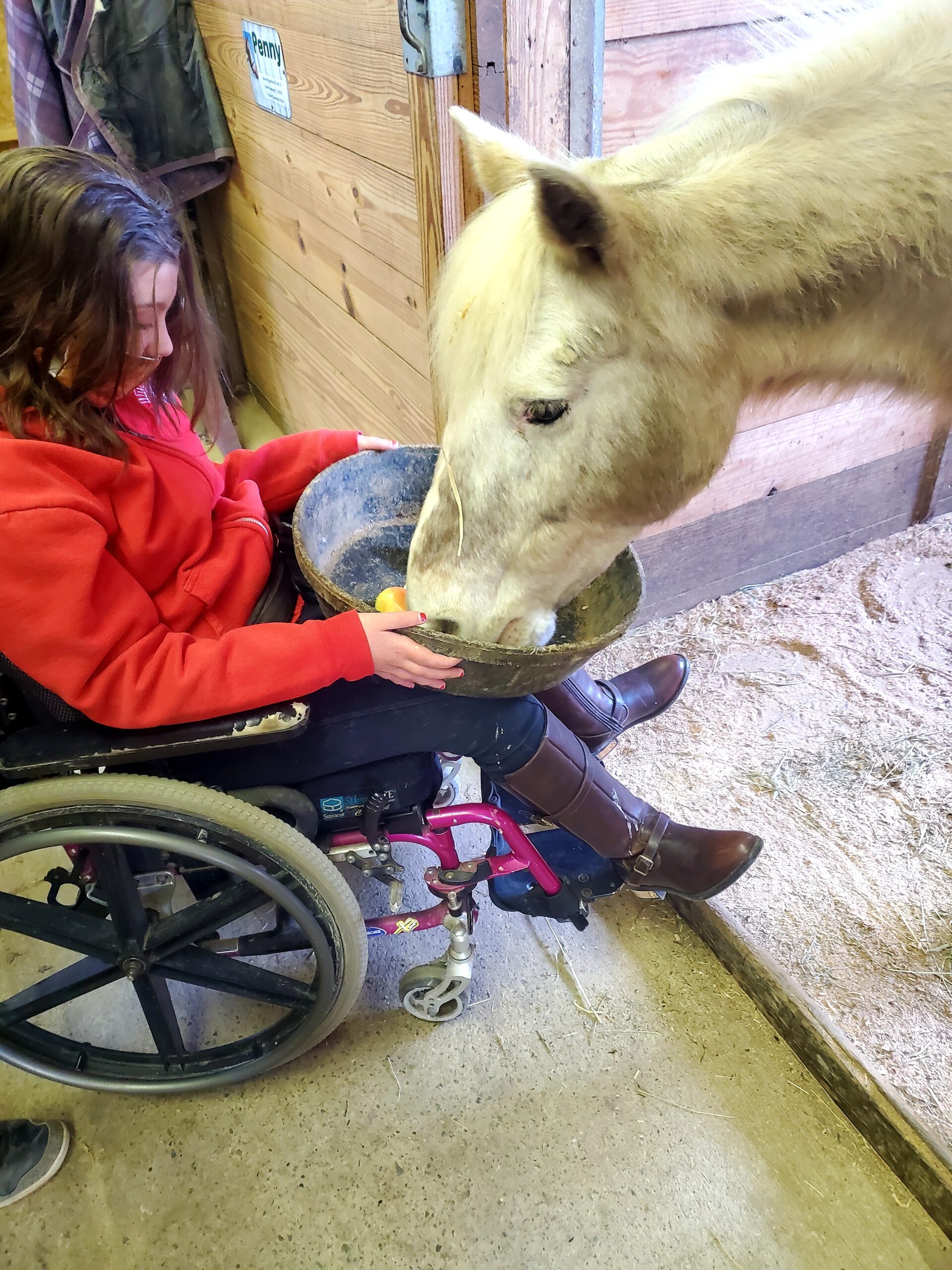 A person feeding a horse